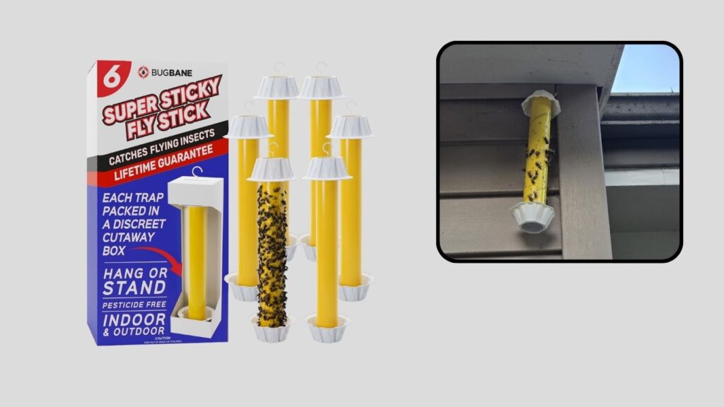 Sticky Fly Traps for Indoor & Outdoor Use