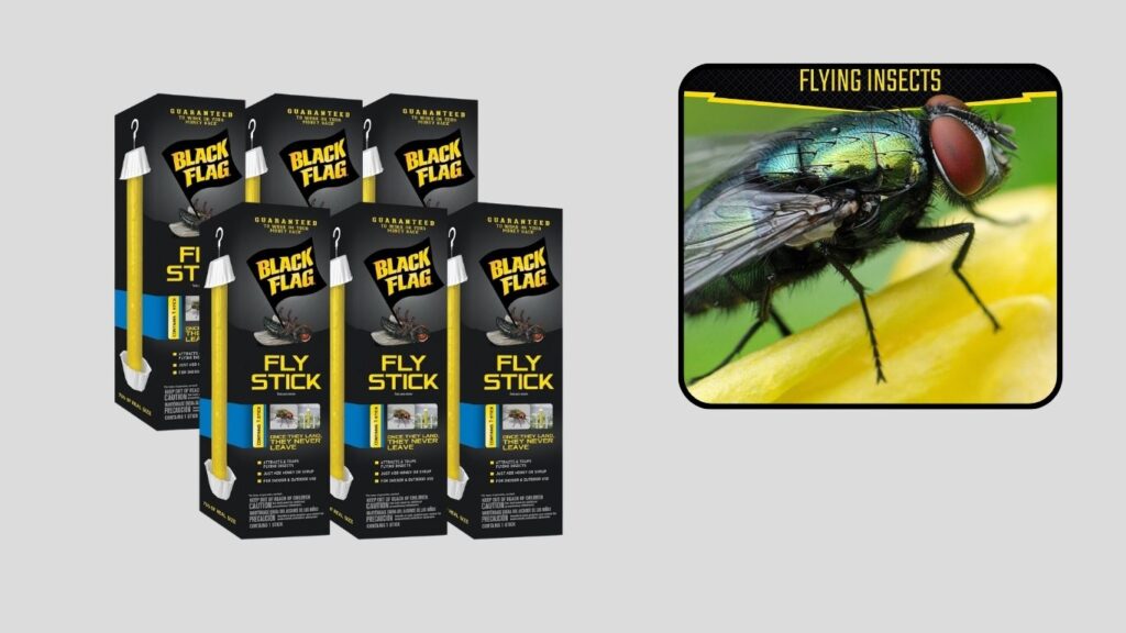Black Flag Fly Stick – 6 Pack