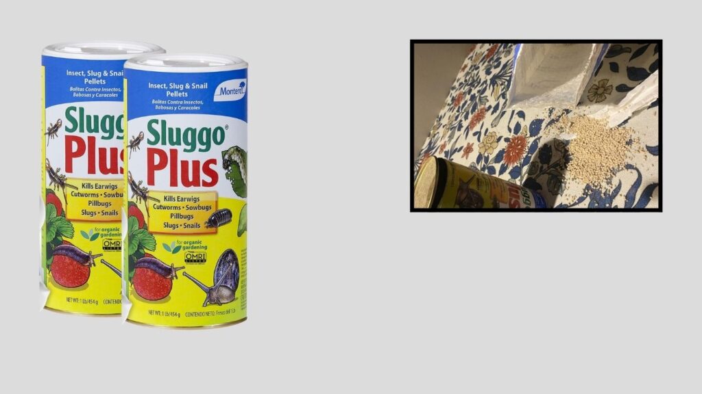 Monterey Sluggo Plus Insect Control with Measuring Spoon