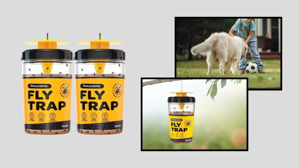 Outdoor Fly Trap with Dissolvable Bait