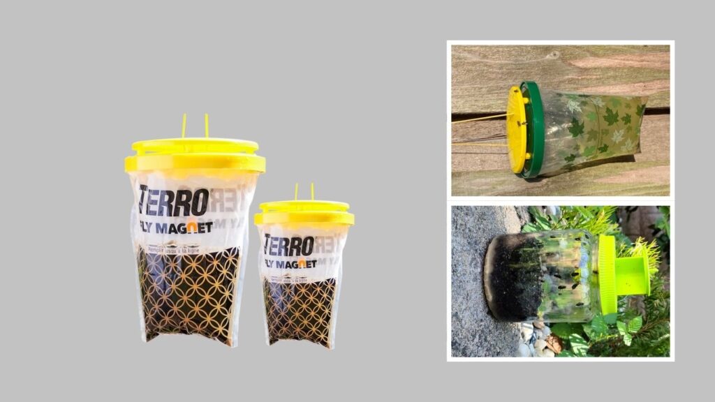 8. TERRO T524 Disposable Outdoor Fly Trap — Best for Convenient Disposal