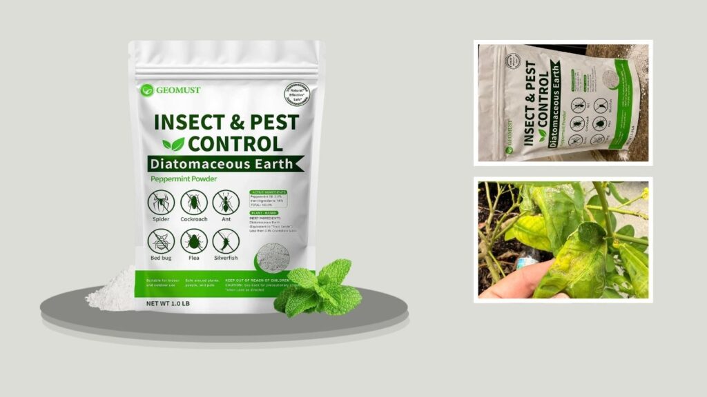 Geomust Diatomaceous Earth and Peppermint Oil Powder