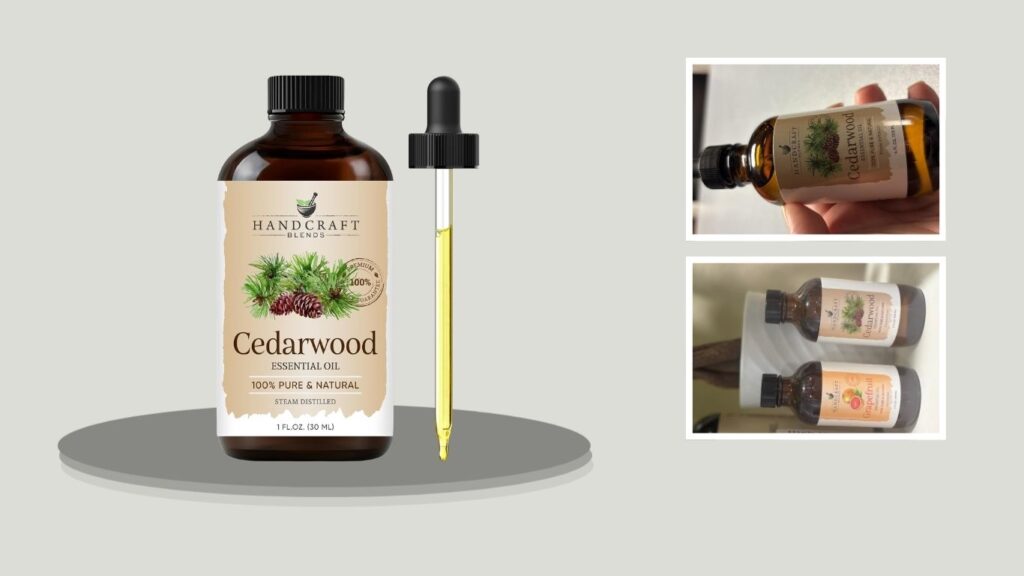 Handcraft Blends Cedarwood Essential Oil