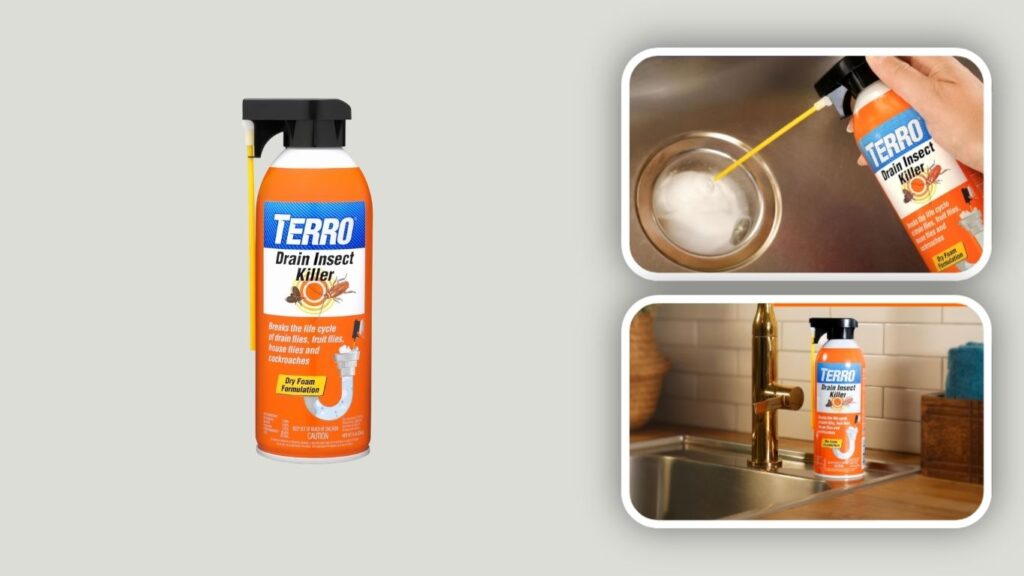 TERRO Drain Insect Killer Spray