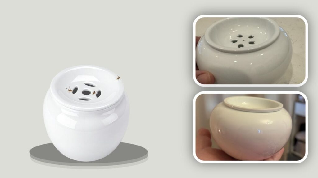 Mysora Reusable Ceramic Indoor Fruit Fly Trap