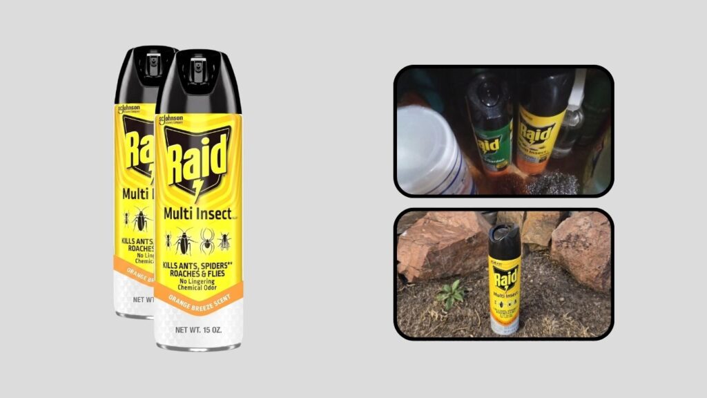 Raid Indoor & Outdoor Insect Killer Spray