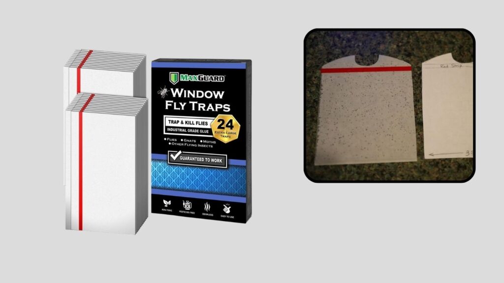 MaxGuard Non-Toxic Sticky Fly Catcher