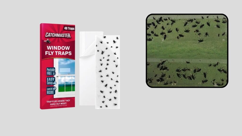 Window Fruit Fly Trap for Indoor Use