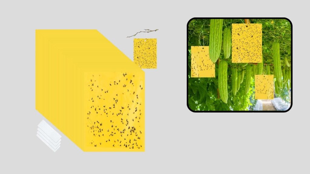 Qualirey Blue Sticky Traps for Plants