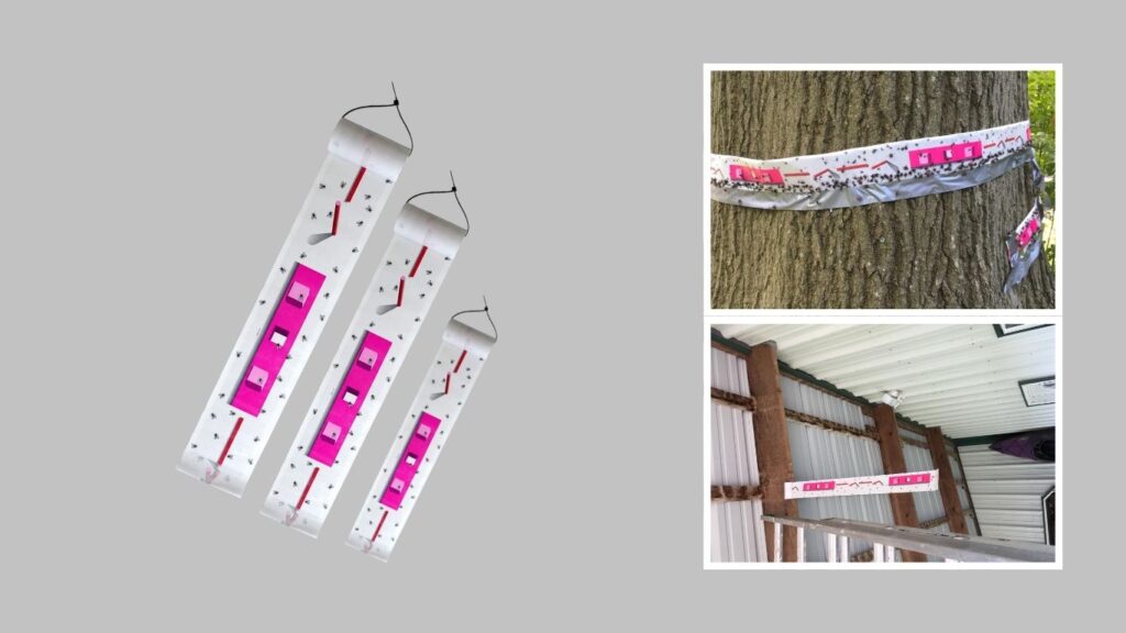 9. TERRO T521 Super Fly Roll — Best for Refreshing a Larger Adhesive Surface