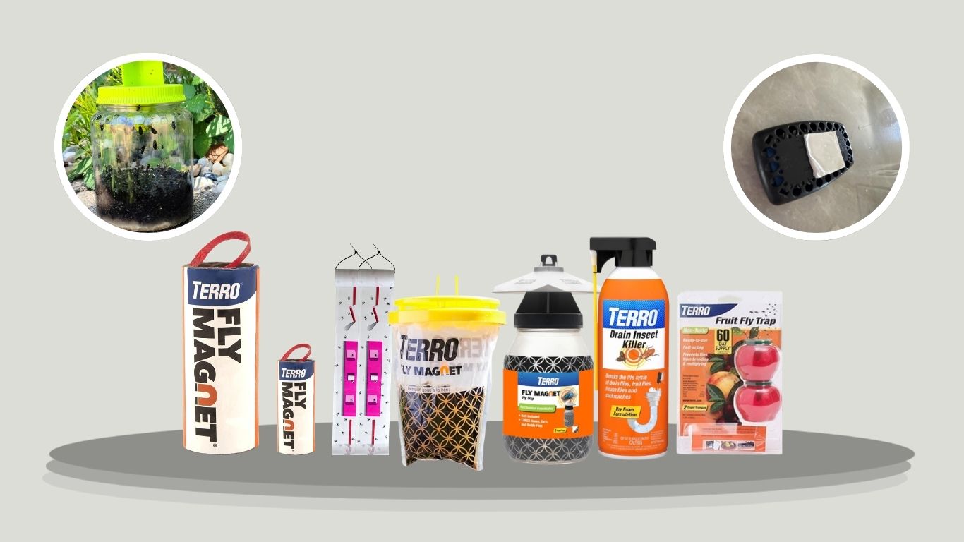 10 Best TERRO Fly Traps and Insect Control Products