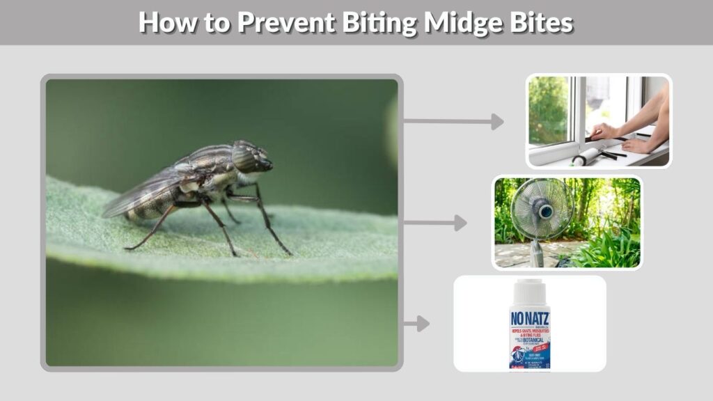How to Prevent Biting Midge Bites