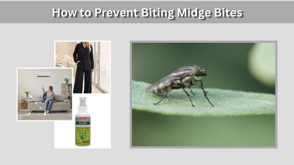 How to Prevent Biting Midge Bites