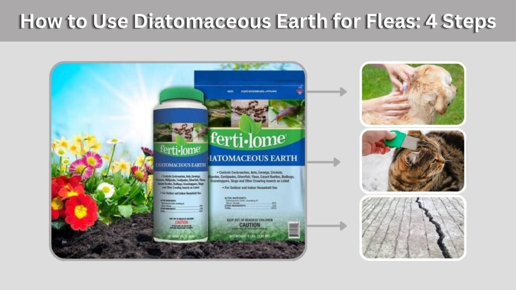 How to Use Diatomaceous Earth for Fleas: 4 Steps